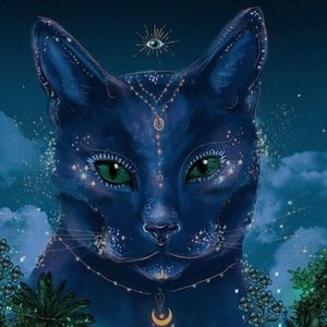 Meet your Posher, Claire